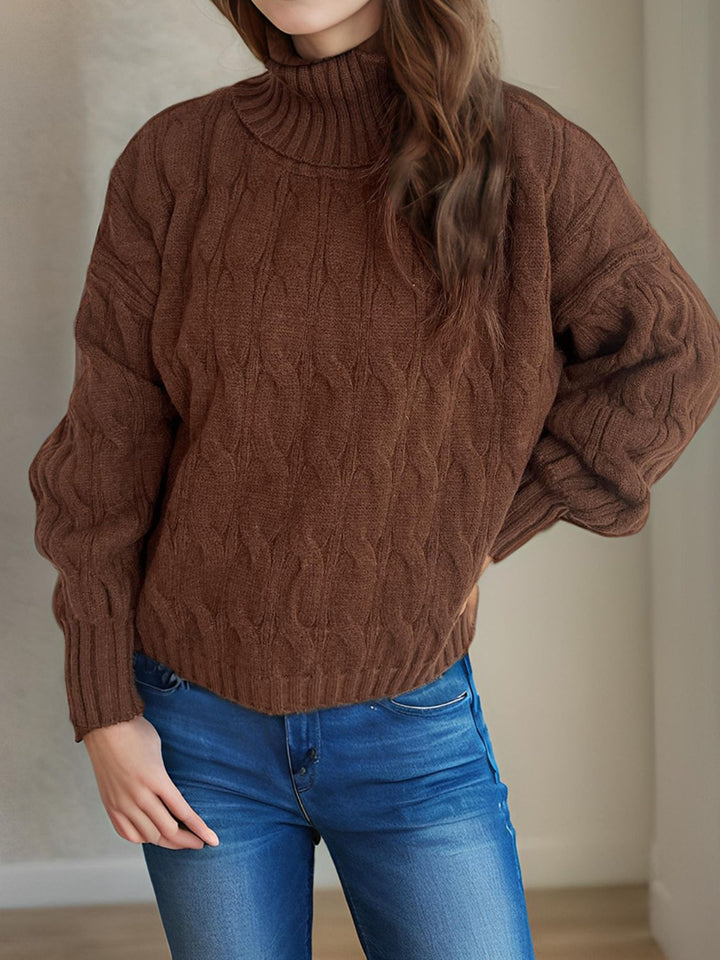 Cable-Knit Turtleneck Long Sleeve Sweater